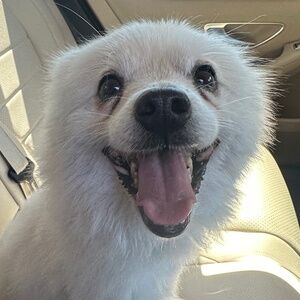 Meet your Posher, Aline